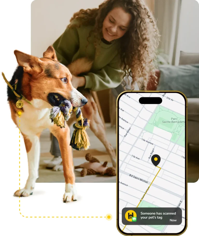 5 Real Ways Pet Parents Can Reunite with Lost Pets — Beyond Microchips